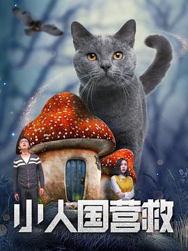 182tv午夜在线观看
