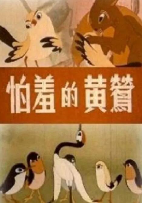 张你雨全部图片