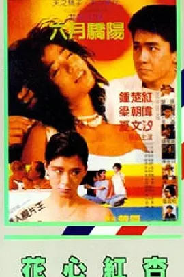 一区二区三区亚洲区