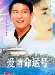 完美的妻子