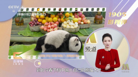www欧美日韩